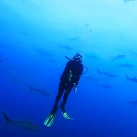 hotyao's profile picture
