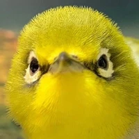 Ching (Jason) Chang's profile picture
